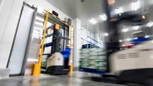 Freezer room door with forklift trucks